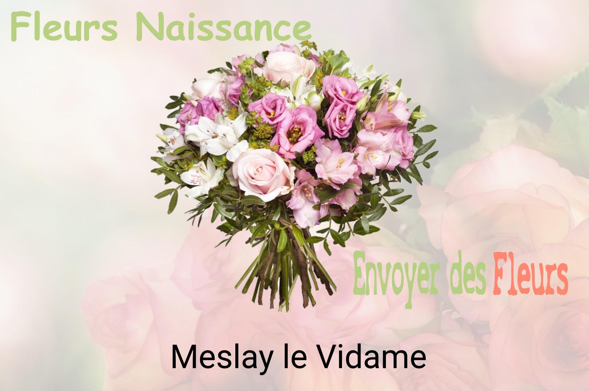 Bouquet de fleurs de naissance livré à Meslay-le-Vidame